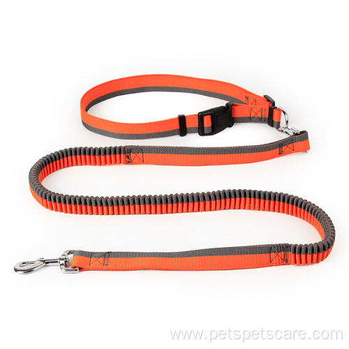 Bungee dog leash low minimum order quantity